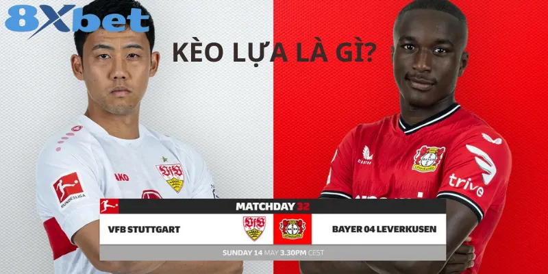 Hướng Dẫn Cách Chọn Kèo Lựa Và Tỷ Lệ Kèo Cược Phổ Biến 2 Kèo Lựa Là Gì? Tìm Hiểu Về Khái Niệm Và Lợi Ích